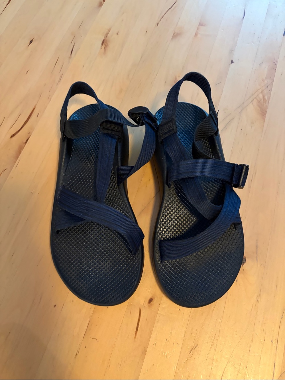 Chaco Men's Navy Blue Outdoor Sandals